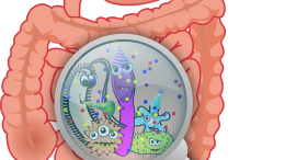 Mikrobiom och mänskliga celler