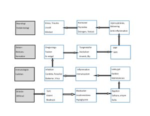 Road- map för funktionsmedicinsk utredning